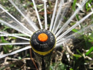 Rainbird Rotary Nozzle