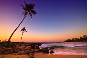 beach-sunset