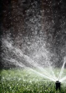 hunter rotation sprinkler head