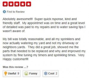 review