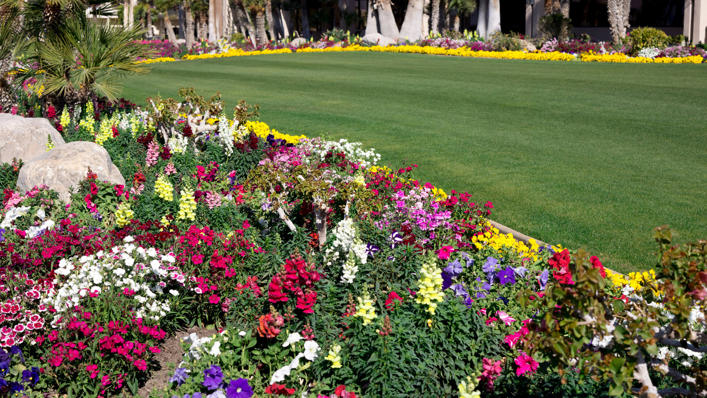 6 Types Of Plants To Enhance our Fall Landscaping