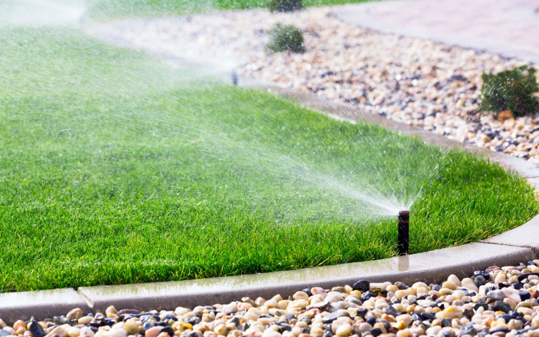 Do I Need to Water My Lawn in the Winter