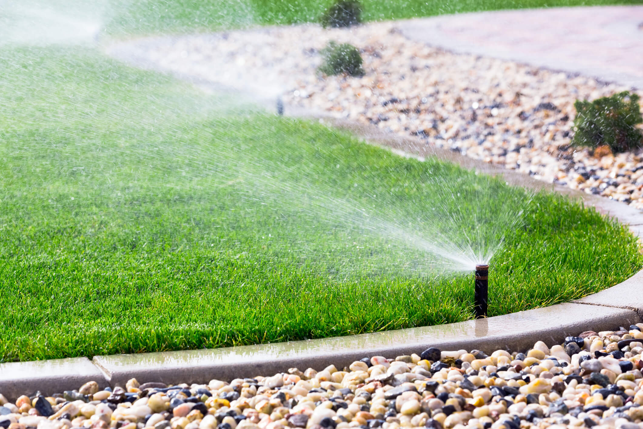 Do I Need to Water My Lawn in the Winter