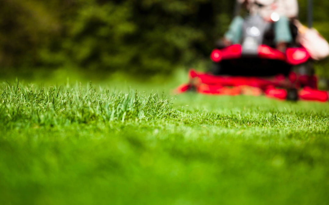 Keep Your Lawn Green