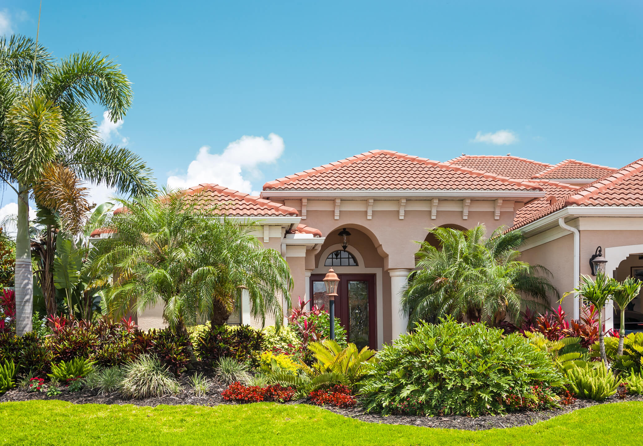 7 Steps to Control Insects on Your Landscaping