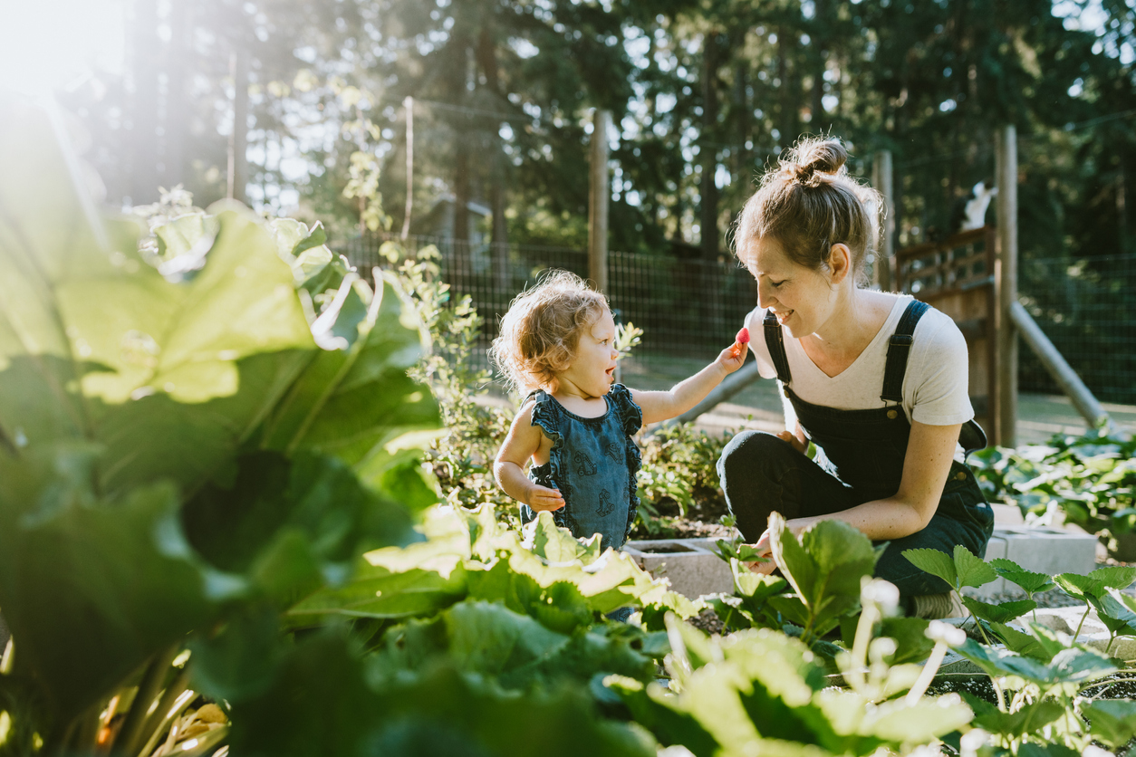 Why Drip Irrigation is Important to Your Garden