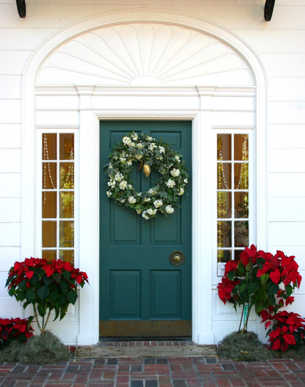what-to-do-with-poinsettias-after-the-holidays
