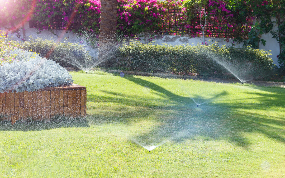 Mistakes to Avoid When Installing or Upgrading Irrigation and Sprinkler Systems