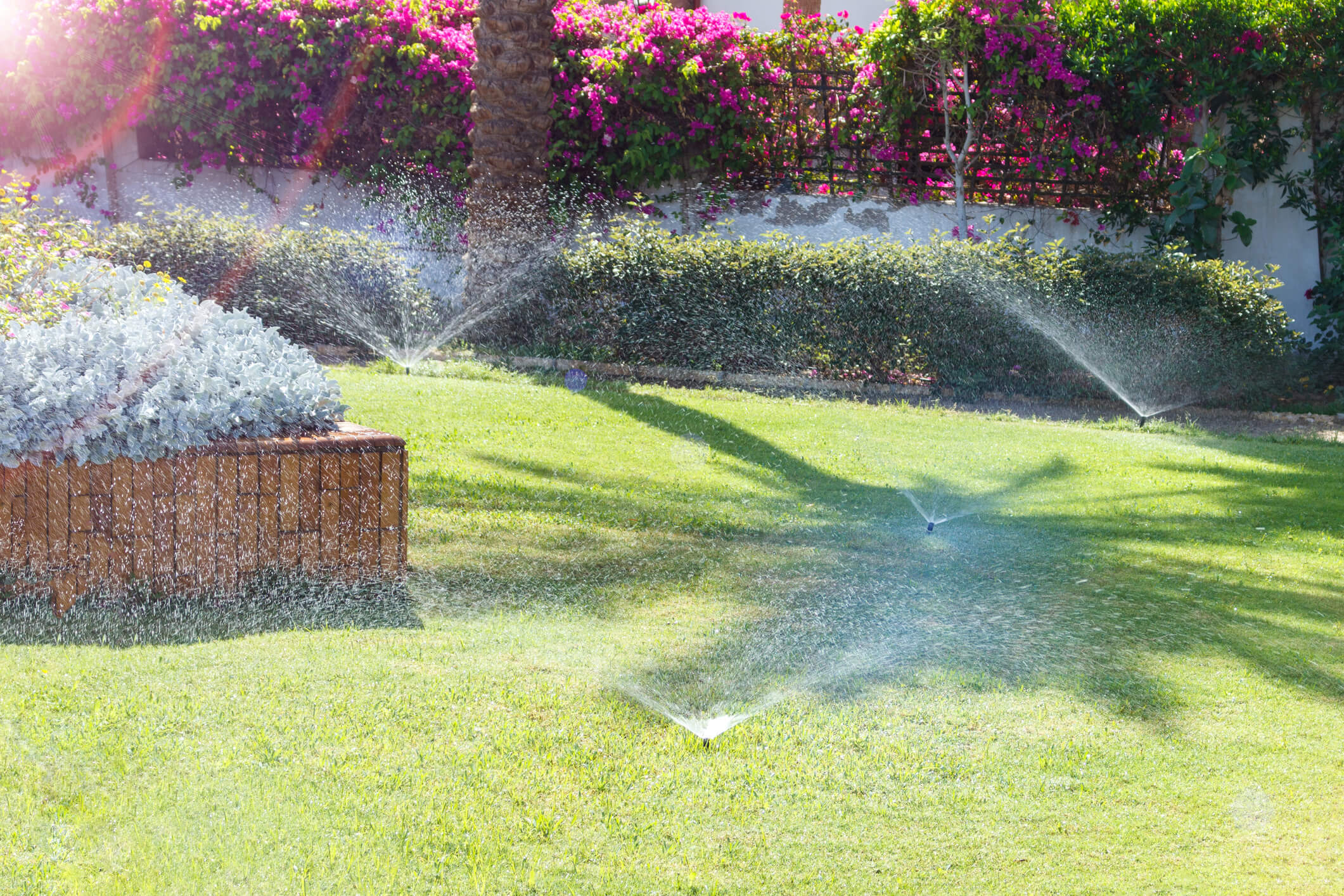 Mistakes to Avoid When Installing or Upgrading Irrigation and Sprinkler Systems