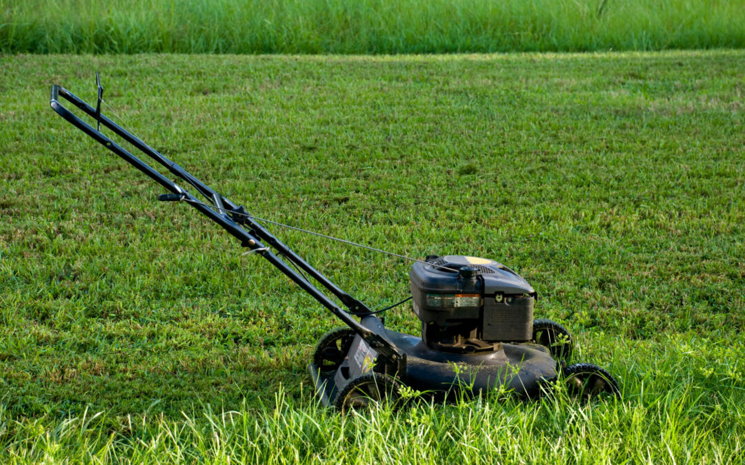 1. How Often Should I Mow My Lawn?