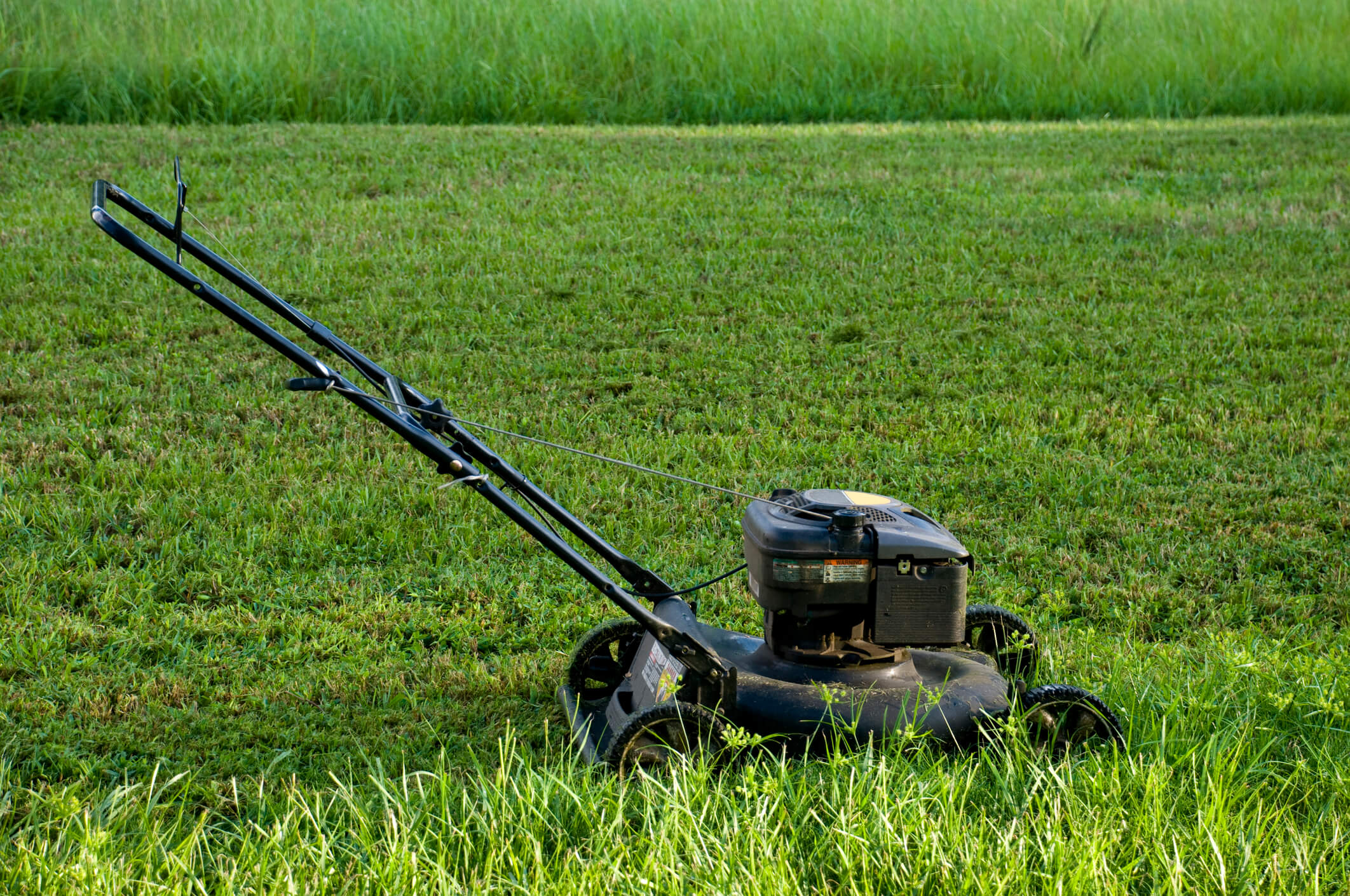 1. How Often Should I Mow My Lawn?