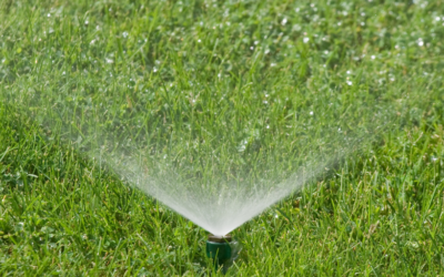 How To Water Your Central Florida Lawn The Right Way