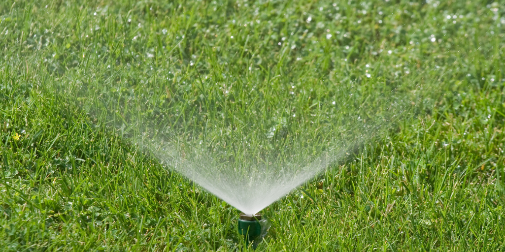 Hessenauer_How To Water Your Central Florida Lawn The Right Way(1025x512)