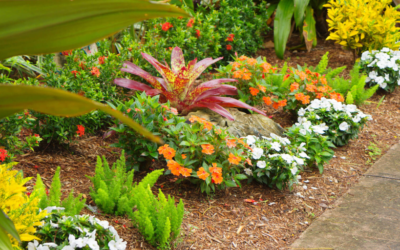 How To Make Your Flower Beds Look Professionally Maintained