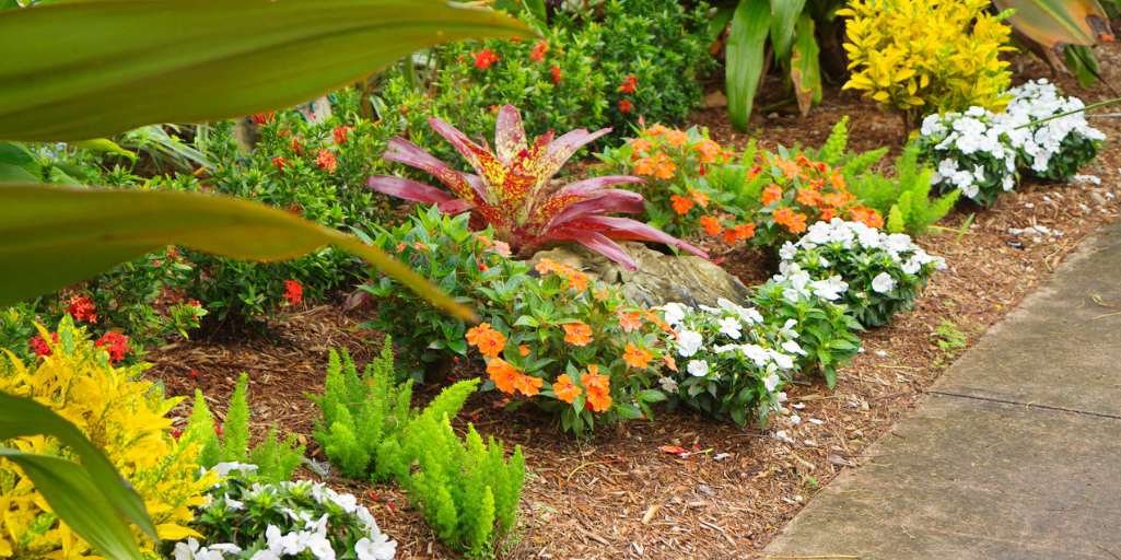 How To Make Your Flower Beds Look Professionally Maintained