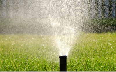 Proper Irrigation For A Healthy Lawn