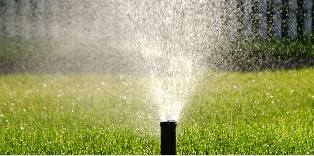 Proper Irrigation For A Healthy Lawn