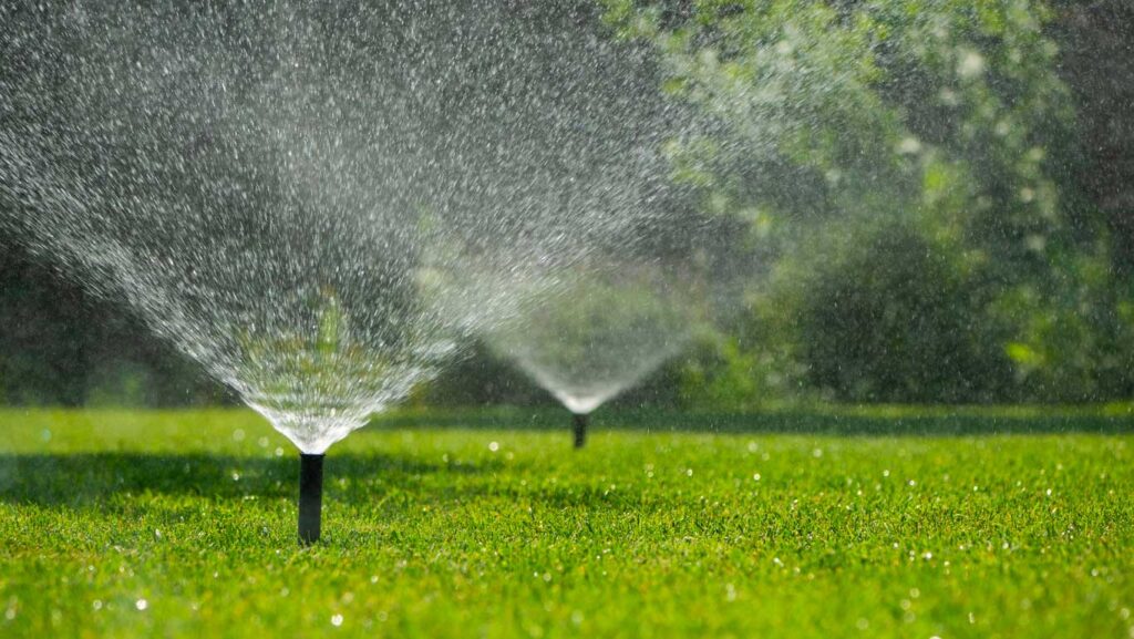 Irrigation Best Practices: Choosing the best irrigation system for you in Central Florida.