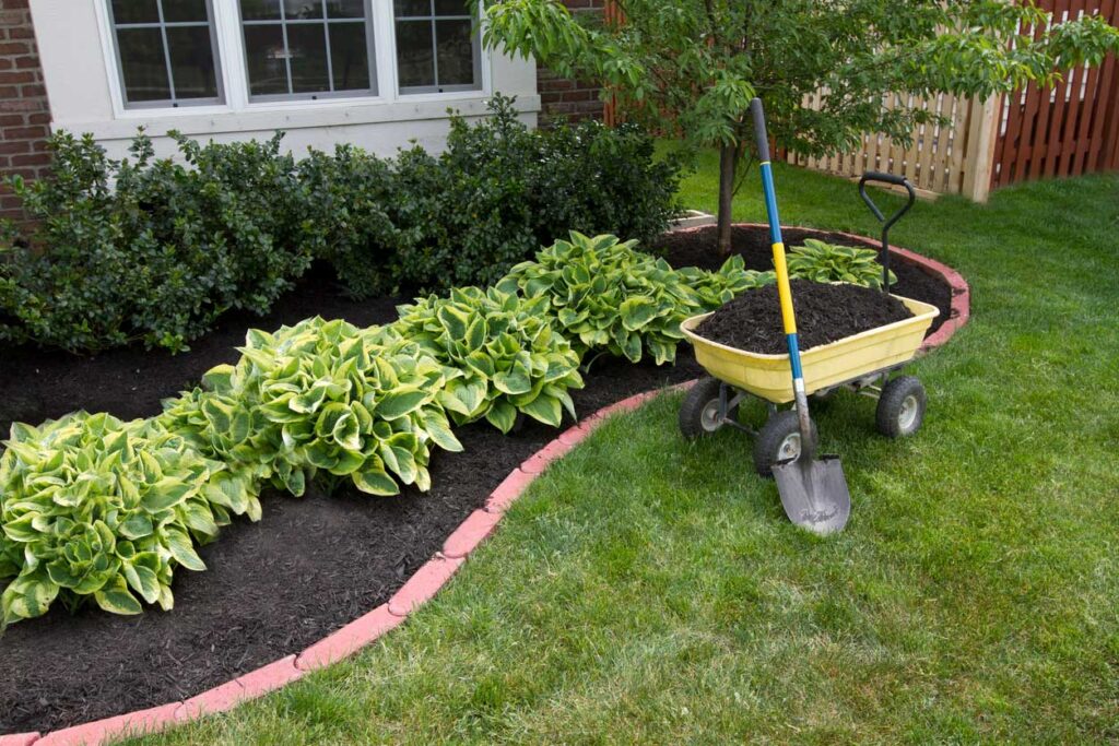 Irrigation Best Practices: Mulching in Central Florida to improve irrigation.