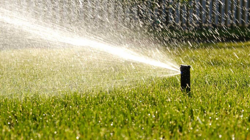 Irrigation Best Practices: Irrigation and Local Water Regulations