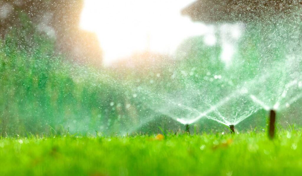 Irrigation System in Central Florida that is using a Smart Irrigation System instead of a Timer System.