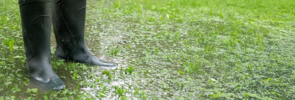 Proper Drainage for a Healthy Lawn in Central Florida