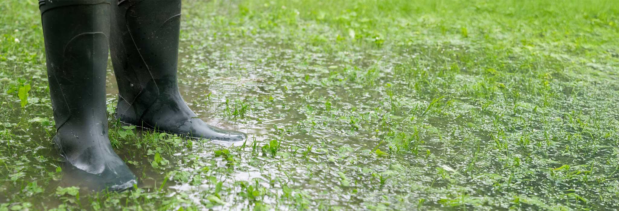 Proper Drainage for a Healthy Lawn in Central Florida
