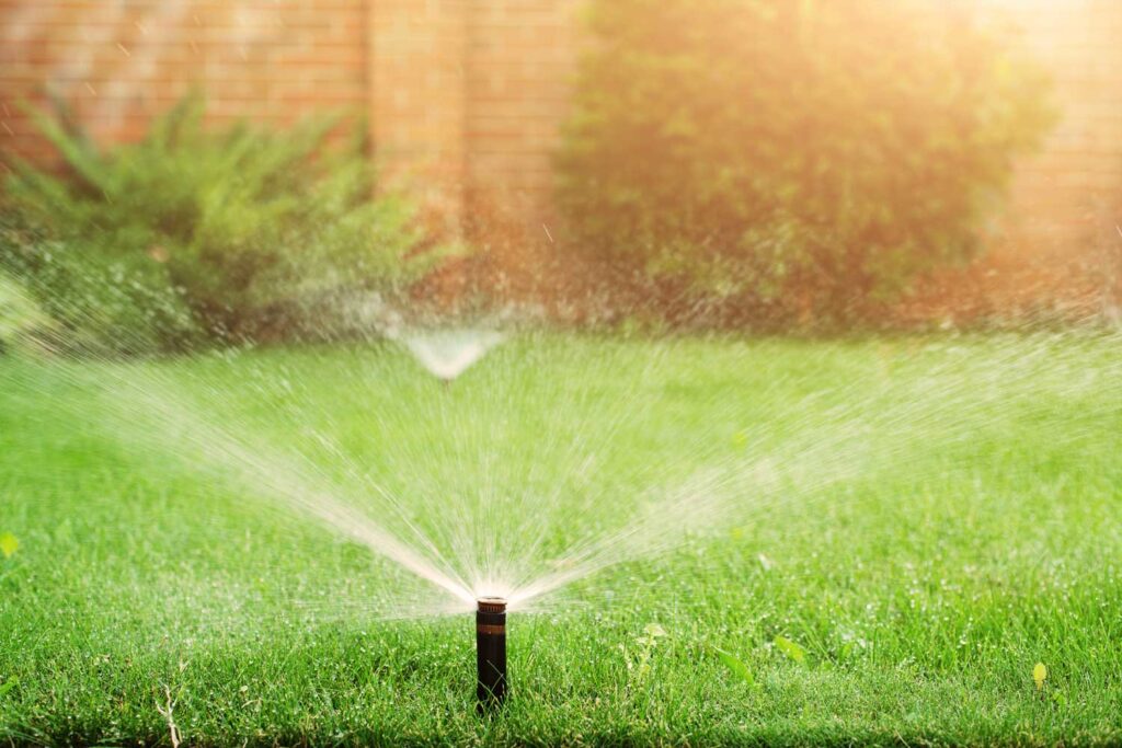 Common Irrigation System Problems in Central Florida