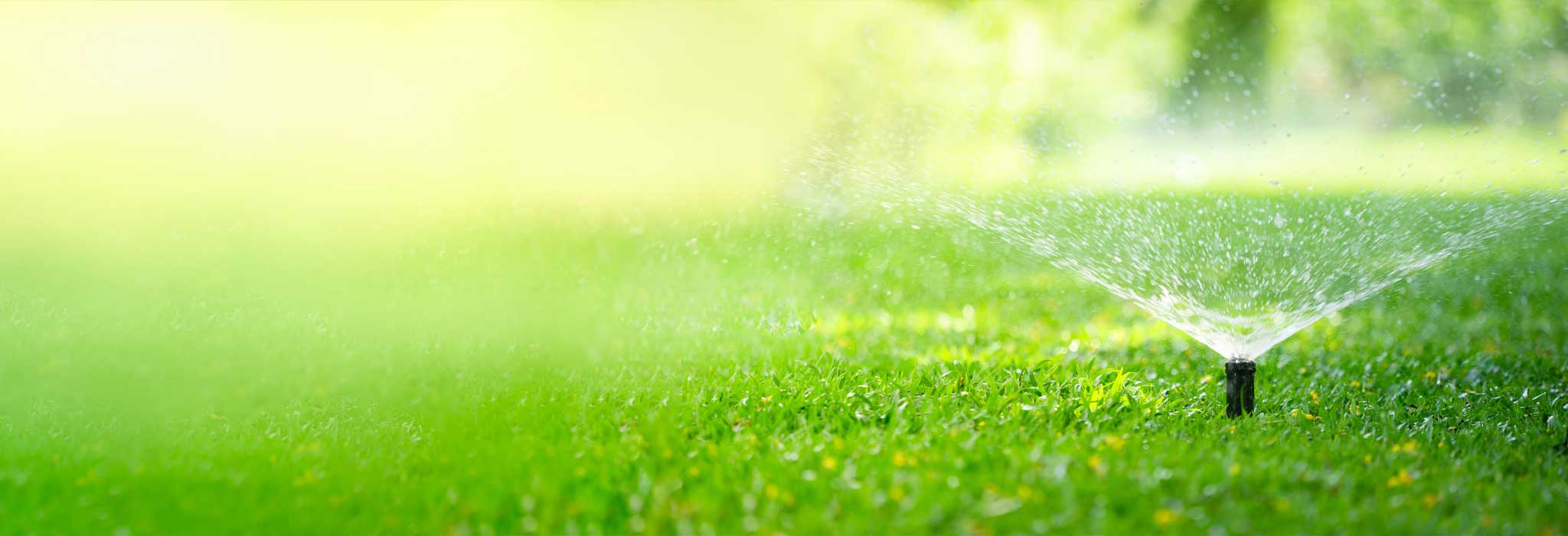 Your Guide to Common Irrigation System Problems in Central Florida